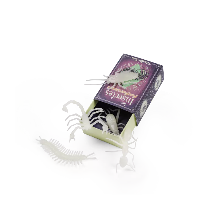 5 insectes phosphorescents Les petites merveilles - Moulin Roty