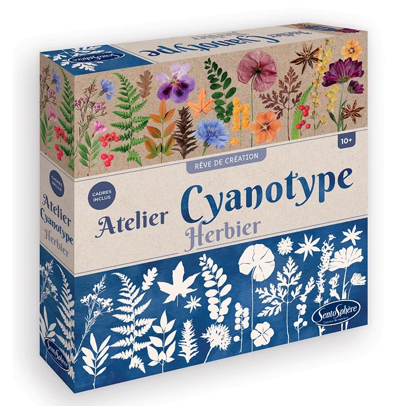 Atelier Cyanotype Herbier - Sentosphère