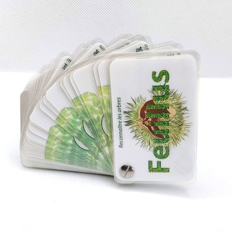 Carnet arbres, feuillus et résineux - Les Carnets de Pierre