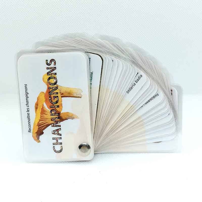 Carnet Champignons - Les Carnets de Pierre