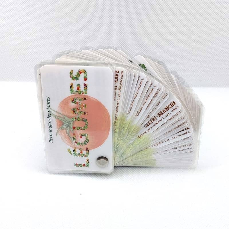 Carnet Légumes du potager - Les Carnets de Pierre