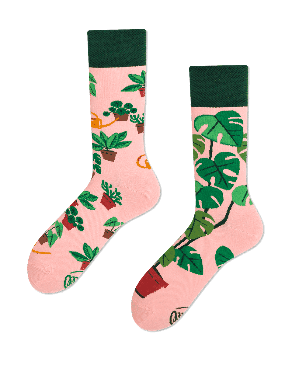 Chaussettes dépareillées Plant Lover - Many Mornings