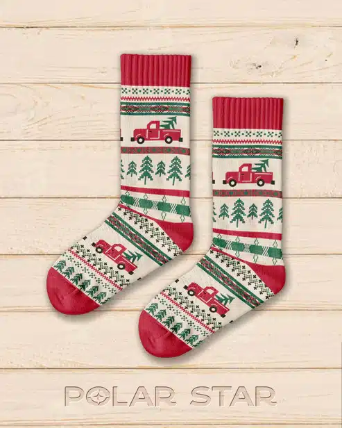 Chaussettes hiver Camion - Polar Star