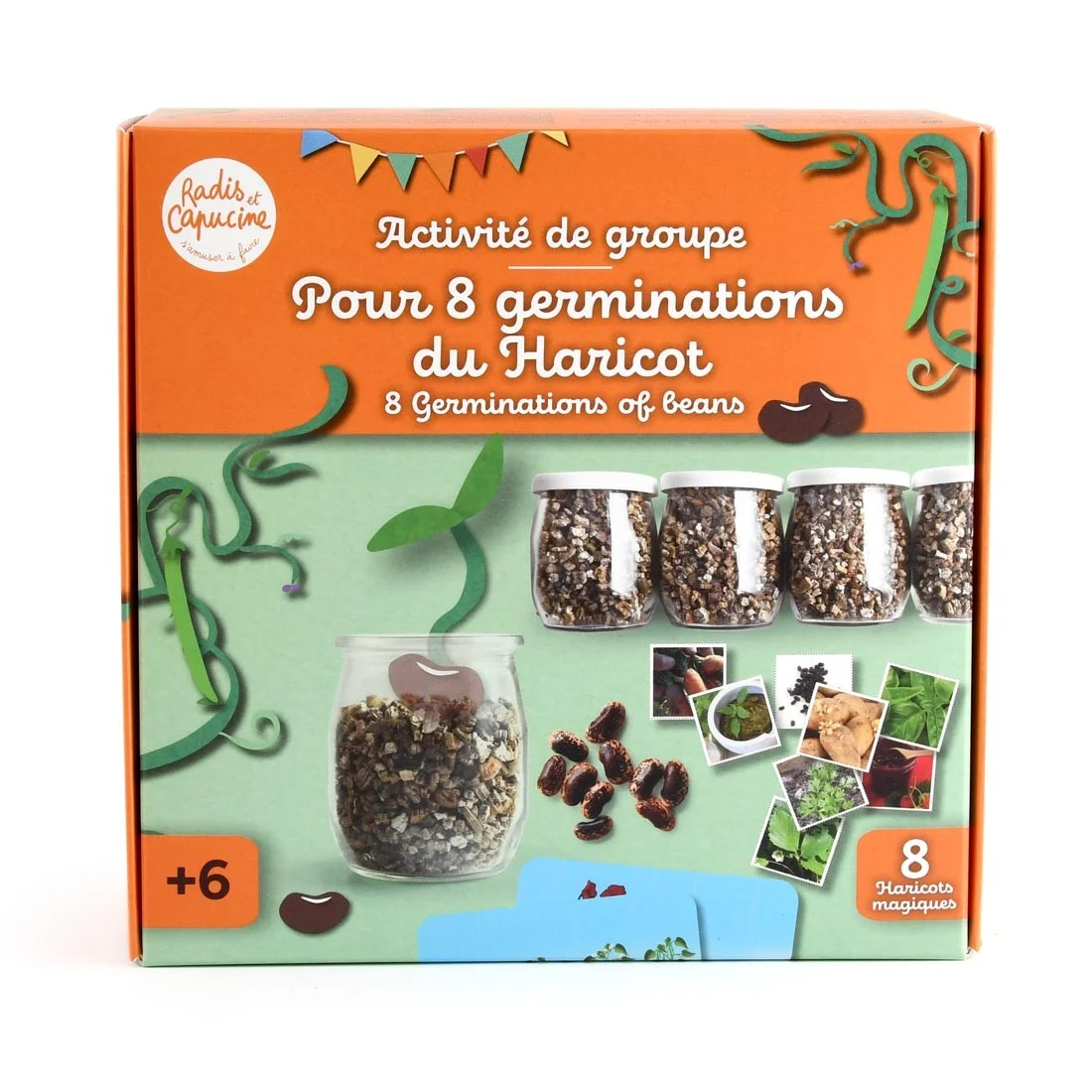 Kit créatif germination du haricot en groupe - Radis et Capucine
