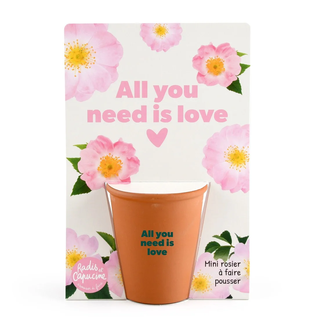 Kit de plantation Rosier All you need is love - Radis et Capucine