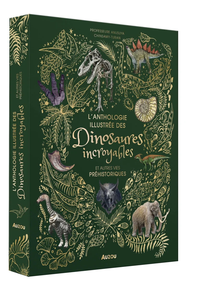 L'anthologie illustrée des dinosaures incroyables - Auzou