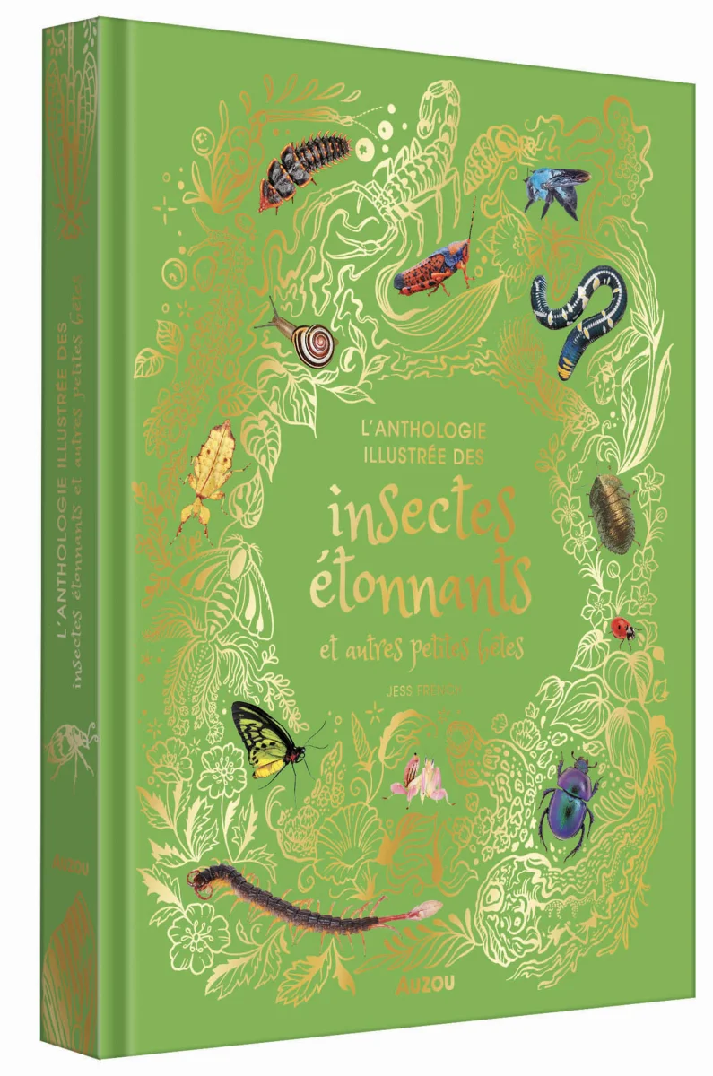 L'anthologie illustrée des insectes étonnants - Auzou