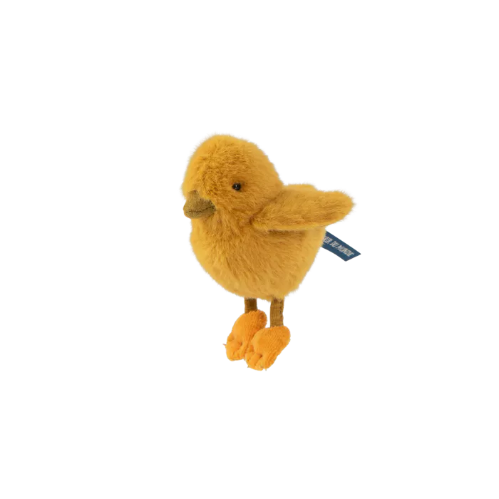 Poussin Tout autour du monde - Moulin Roty