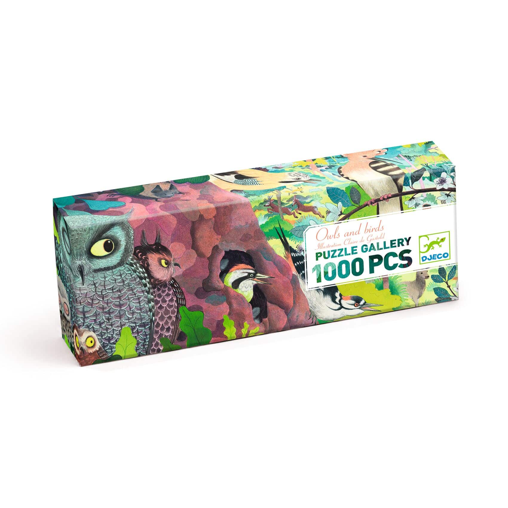 Puzzle gallery 1000 pièces Owls and birds - Djeco