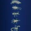 Cinq insectes phosphorescents blancs, coléoptère, fourmi, scorpion, mille-pattes sur fond bleu.