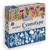 Boîte atelier cyanotype herbier avec fleurs colorées et silhouettes blanches sur fond bleu