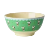 Bol Snoopy Vert - Rice