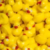 Bouteille sensorielle Move Ducky - Petit Boum