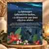 Calendrier de l’Avent Tatouages éphémères Version adulte - Sioou