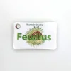 Carnet arbres, feuillus et résineux - Les Carnets de Pierre