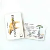 Carnet Champignons - Les Carnets de Pierre