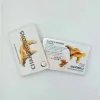 Carnet Champignons - Les Carnets de Pierre
