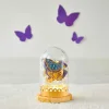 Cloche Lumineuse Papillons à Créer - Janod