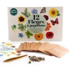 Coffret Radis et Capucine 12 sachets graines fleurs papillons avec mode d'emploi coloré.