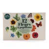 Coffret Radis et Capucine 12 fleurs à papillons avec illustrations fleurs colorées et papillons.