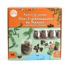 Kit créatif germination du haricot en groupe - Radis et Capucine