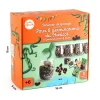 Kit créatif germination du haricot en groupe - Radis et Capucine