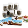 Kit créatif germination du haricot en groupe - Radis et Capucine