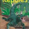 Kit créatif Reptiles - L'atelier imaginaire
