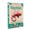 Kit créatif Reptiles - L'atelier imaginaire