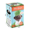 Boîte kit créatif Mr Patate Radis et Capucine, tête marron à cheveux verts herbe