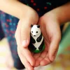 Kit créatifs Les espèces protégées Panda géant - Mako moulages