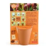 Kit jardinage enfant plante carnivore T-rex avec pot terre cuite orange