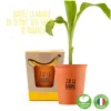 Kit de plantation Bananier à semer J'ai la banane - Radis et Capucine