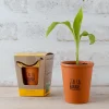 Kit de plantation Bananier à semer J'ai la banane - Radis et Capucine