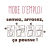 Instructions de plantation Basilic Instinct avec illustrations en noir et rouge, étapes semer et arroser