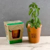 Kit de plantation Basilic Instinct comprenant pot en terre cuite et plante basilic vert.
