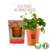 Kit de plantation Fraisier à semer Ramène ta fraise - Radis et Capucine