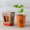 Kit de plantation Fraisier à semer Ramène ta fraise - Radis et Capucine