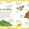 L'anthologie illustrée des insectes étonnants - Auzou