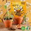 Les fleurs des abeilles à semer - Radis et Capucine