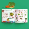Livre de cuisine Les super légumes, recette illustrée paninis grenouilles et mascotte épinard cape rouge.
