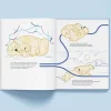 Livre enfant ouvert Suis du doigt l'ours polaire, illustrations ours polaires beige et lignes bleues