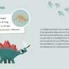 Mes 2 dinosaures à déterrer - Auzou
