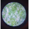 Microscope de Poche - Janod
