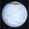 Microscope de Poche - Janod