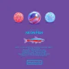 Mini box Neon Fish Coffret 25 billes - Billes &amp; Co