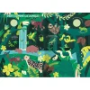 Illustration jungle verte avec animaux stylisés et textures, livre d'éveil Auzou
