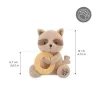 Peluche anneau de dentition Raton laveur - Kaloo