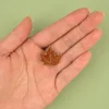 Pin's Feuille d'érable - Coucou Suzette