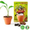 Pot en terre cuite avec jeune bananier, graines, pastilles de terre et emballage pirate coloré Radis et Capucine.